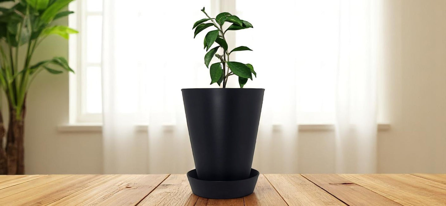 Pot de fleur avec soucoupe