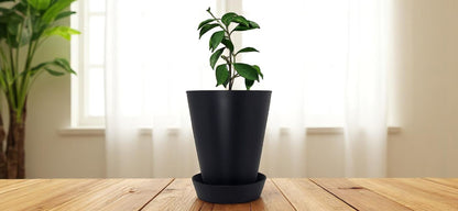 Pot de fleur avec soucoupe